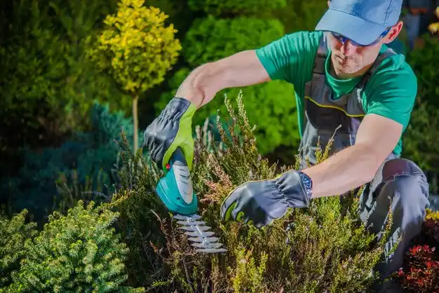 landscaping services Opelousas